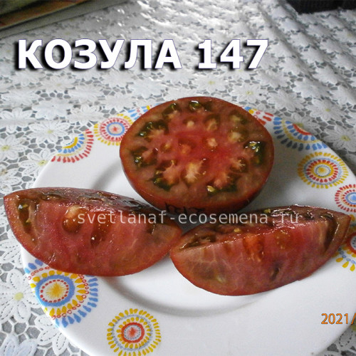 Козула 147 Kozula 147
