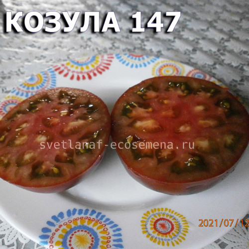 Козула 147 Kozula 147