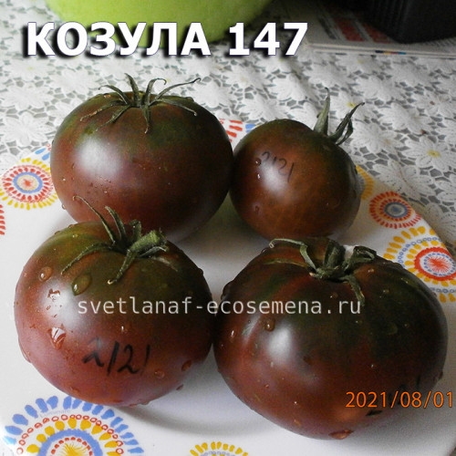 Козула 147 Kozula 147