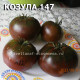 Козула 147 Kozula 147