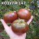 Козула 147 Kozula 147