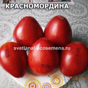 Красномордина
