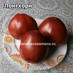 Longhorn  Лонгхорн