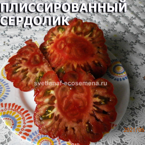Плиссированный Сердолик Pleated Carnelian
