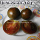 Midnight Tiger, Полночный тигр