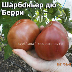 Шарбоньер дю Берри