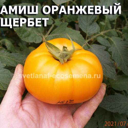 Амиш оранжевый щербет  Amish orange sherbet 