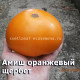 Амиш оранжевый щербет  Amish orange sherbet 