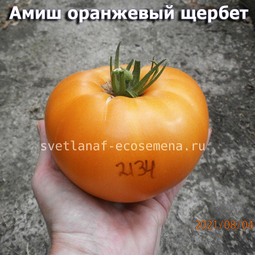 Амиш оранжевый щербет  Amish orange sherbet 