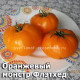 Оранжевый монстр Флэтхед Flathead monster