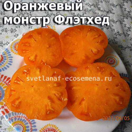 Оранжевый монстр Флэтхед Flathead monster