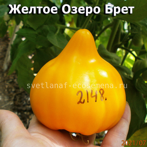 Jaune du lac de Bret Желтое Озеро Брет