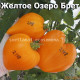 Jaune du lac de Bret Желтое Озеро Брет