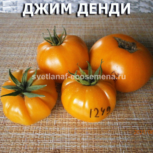 Jim Dandy  Джим Денди