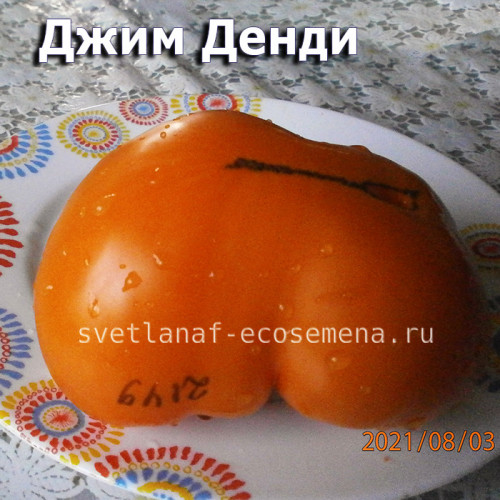 Jim Dandy  Джим Денди