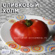 Olive hill  Оливковый холм