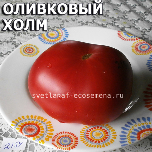 Olive hill  Оливковый холм