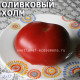 Olive hill  Оливковый холм