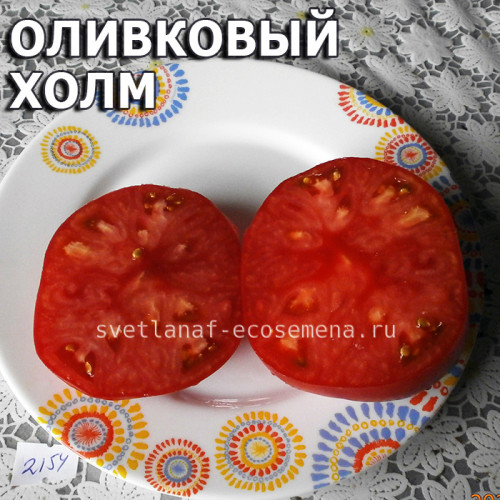 Olive hill  Оливковый холм