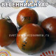 Spring Noire Весенний нуар
