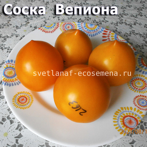 Téton de Wepion,  Соска  Вепиона