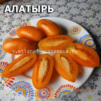Chara's Alatyr Чарский Алатырь