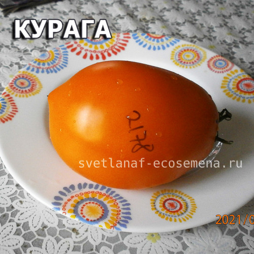 Курага