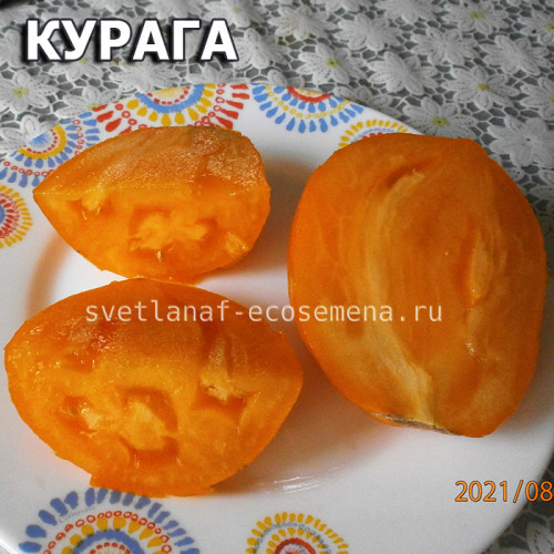 Курага
