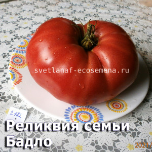 Реликвия семьи Бадло