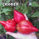 Скифея  Skyphea