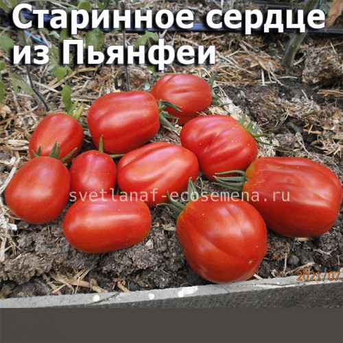 Cuore Antico di Pianfei Старинное сердце из Пьянфеи