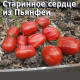 Cuore Antico di Pianfei Старинное сердце из Пьянфеи