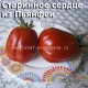 Cuore Antico di Pianfei Старинное сердце из Пьянфеи