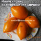 Минусинские оранжевые стаканчики