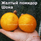 Dwarf Sean’s yellow  Желтый карлик Шона