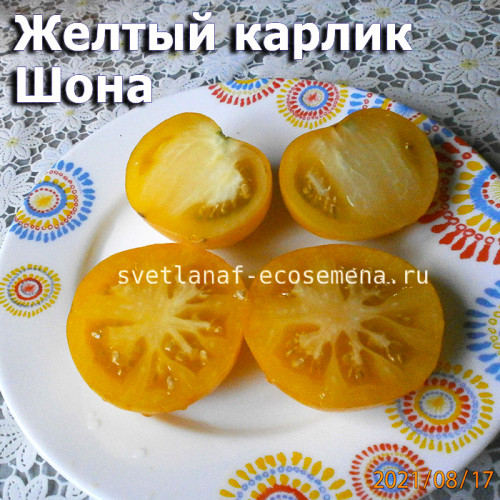 Dwarf Sean’s yellow  Желтый карлик Шона
