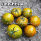 Lucinda Люсинда
