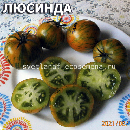 Lucinda Люсинда