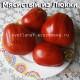 Meaty of Lucca Мясистый из Люкки