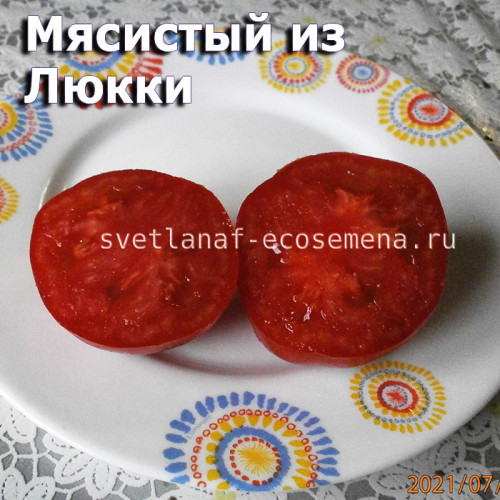 Meaty of Lucca Мясистый из Люкки