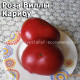 Роза Виллы Карибу Willa's cariboo rose Dwarf