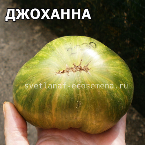 Johanna Джоханна