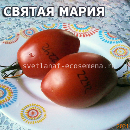 Святая Мария Santa Maria