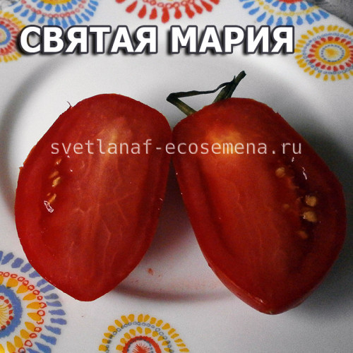 Святая Мария Santa Maria