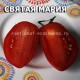 Святая Мария Santa Maria