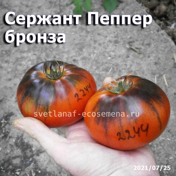 Сержант Пеппер бронза, Sgt. Pepper’s bronze