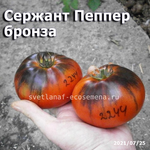 Сержант Пеппер бронза, Sgt. Pepper’s bronze