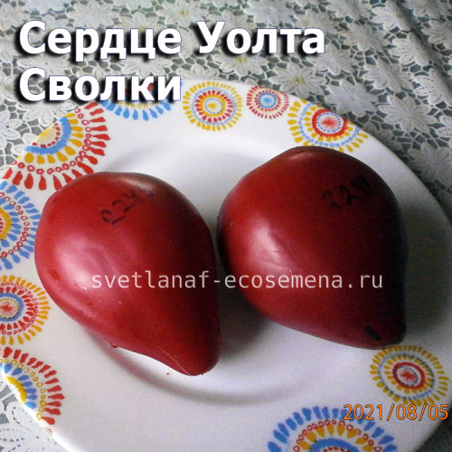 Сердце Уолта Сволки Walt Swolka Heart