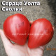 Сердце Уолта Сволки Walt Swolka Heart