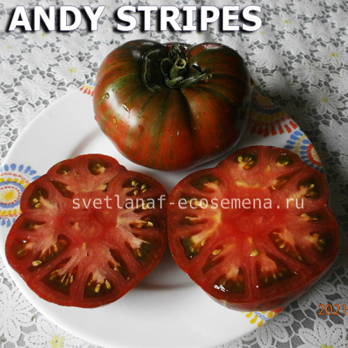 Энди полосатый, Andy stripes, Энди страйп
